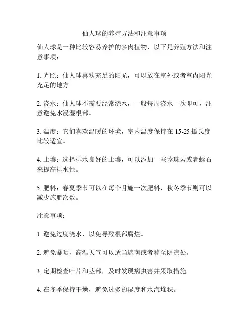 仙人球的养殖方法和注意事项