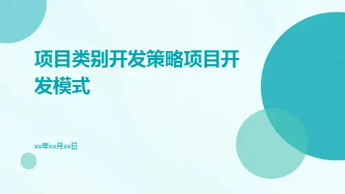 项目类别开发策略项目开发模式