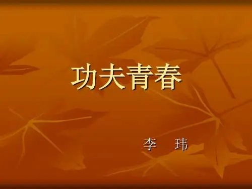 功夫青春