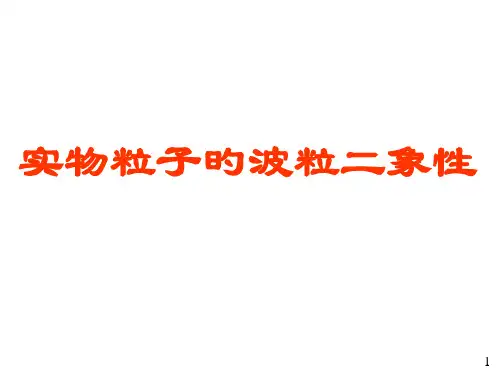 德布罗意物质波的假设
