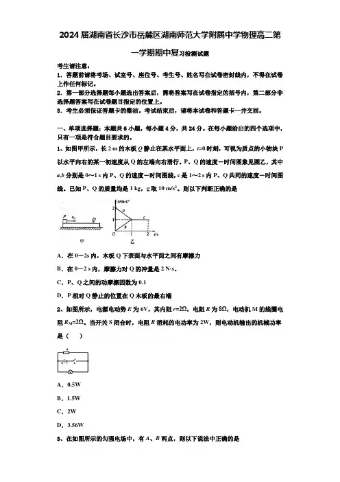2024届湖南省长沙市岳麓区湖南师范大学附属中学物理高二第一学期期中复习检测试题含解析