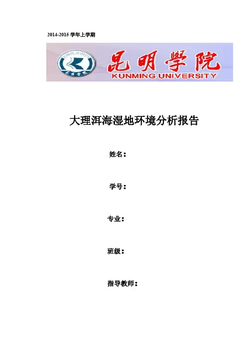 洱海湿地环境调查报告