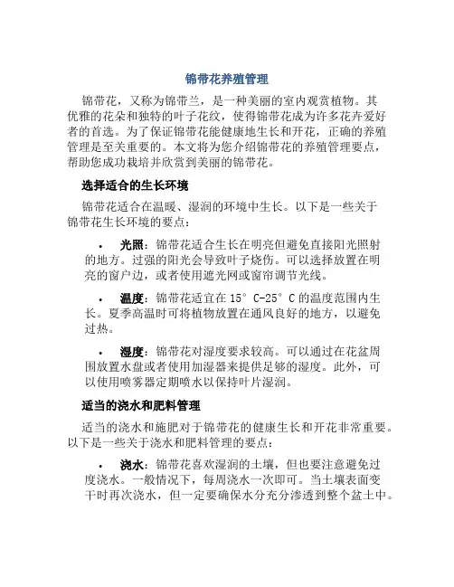 锦带花养殖管理
