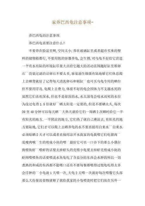 家养巴西龟注意事项--养巴西龟的注意事项