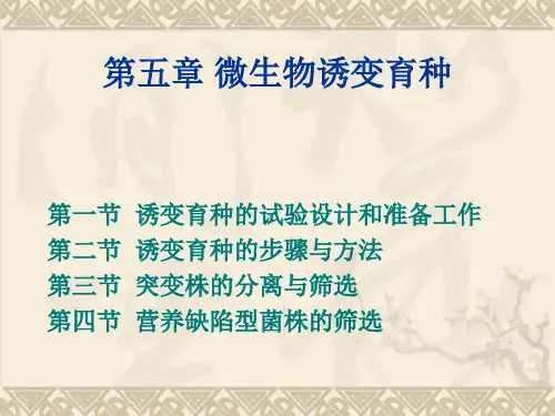 第五章 工业微生物诱变育种