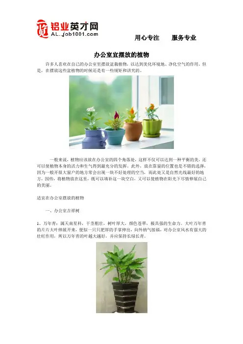 办公室宜摆放的植物
