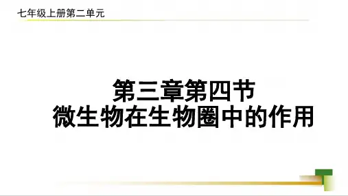 2.3.4微生物在生物圈中的作用