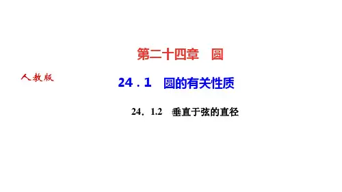 人教版九年级上册数学作业课件 第二十四章 圆 圆的有关性质 垂直于弦的直径