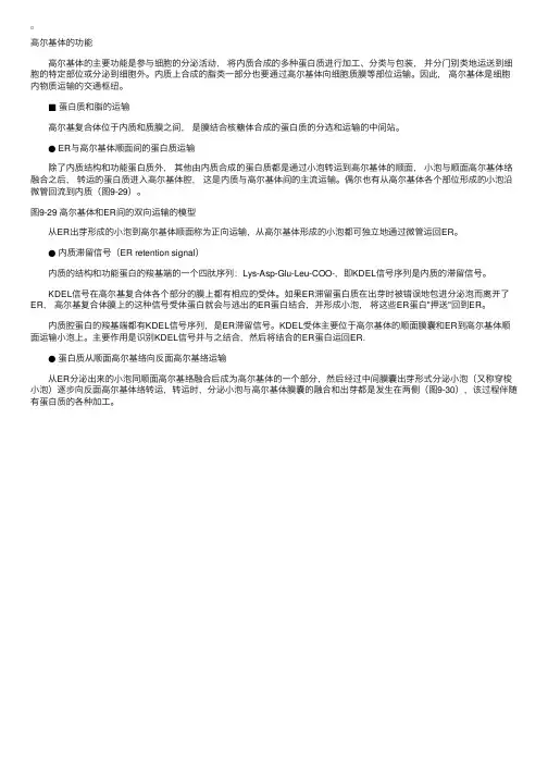高尔基体的功能－细胞生物学