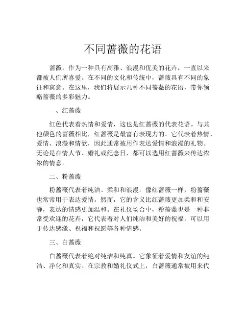 不同蔷薇的花语