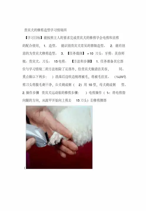 宠物美容与护理项目三情四