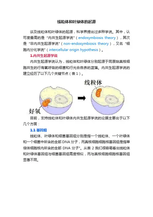 线粒体和叶绿体的起源