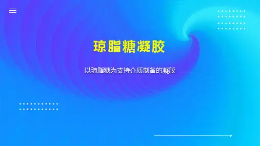 琼脂糖凝胶 