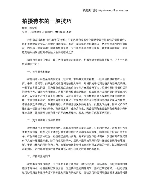 拍摄荷花的一般技巧