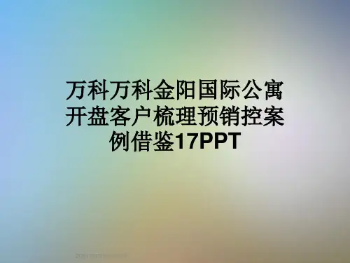 万科万科金阳国际公寓开盘客户梳理预销控案例借鉴17PPT