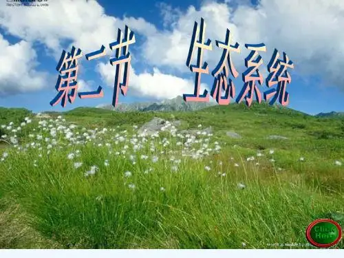 生物人教版七年级上册食物链与食物网