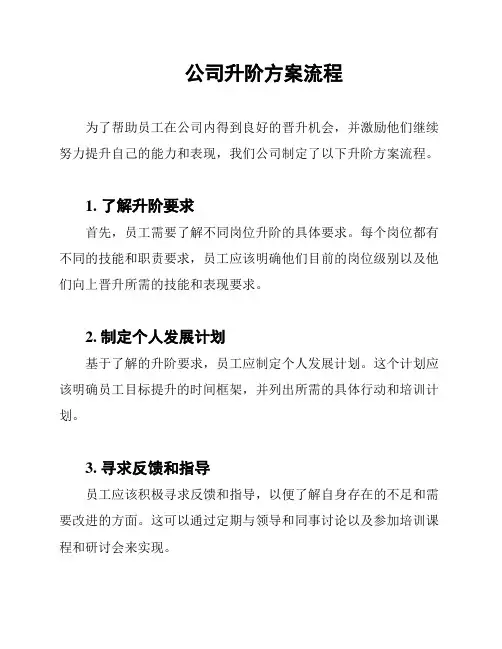 公司升阶方案流程