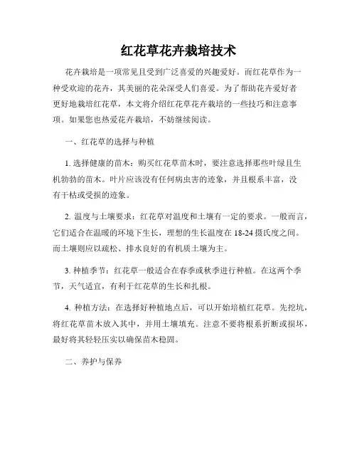 红花草花卉栽培技术