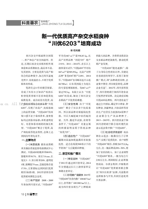 新一代优质高产杂交水稻良种“川优6203”培育成功