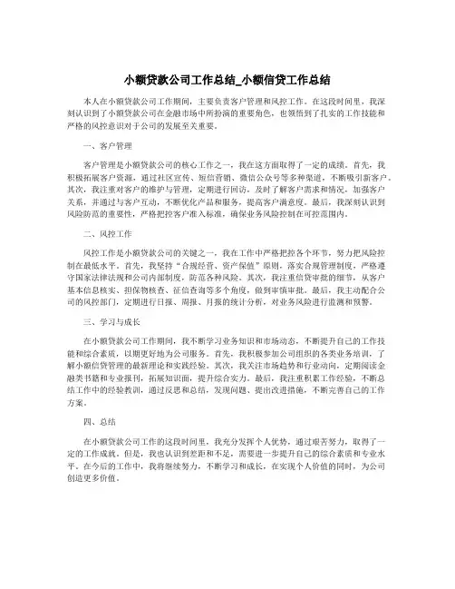 小额贷款公司工作总结_小额信贷工作总结