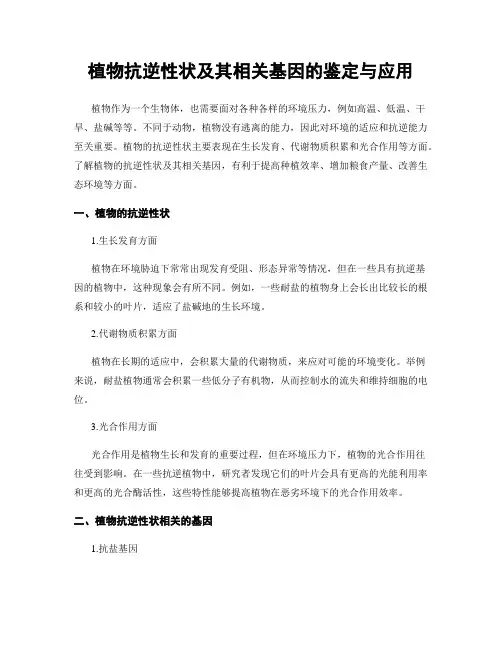 植物抗逆性状及其相关基因的鉴定与应用