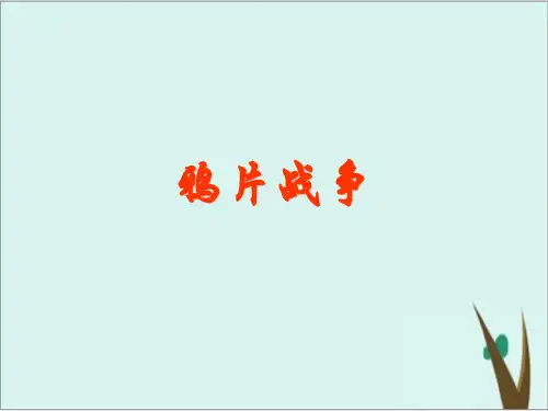 《鸦片战争》岳麓版历史优质课件1