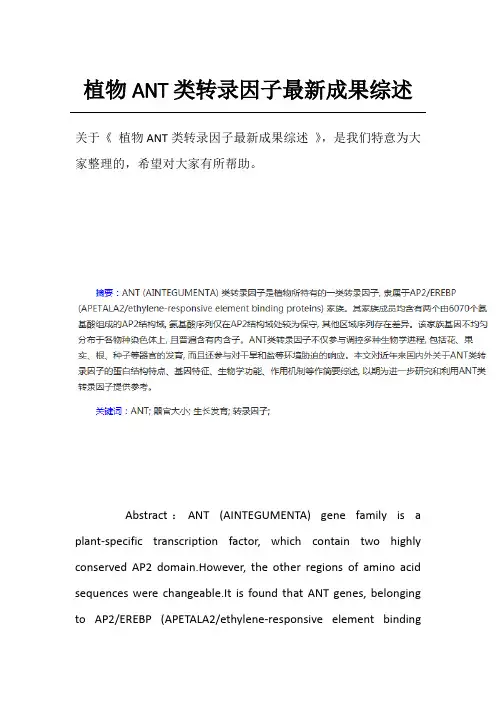 植物ANT类转录因子最新成果综述