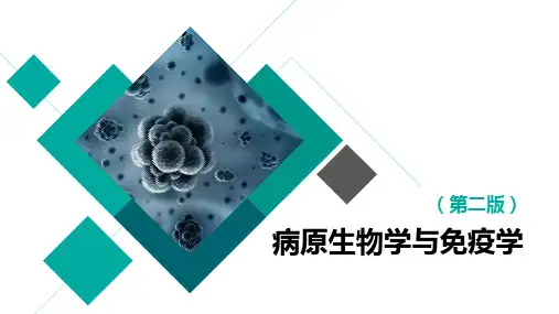 病原生物学及免疫学 第三版 第二章 细菌的生理