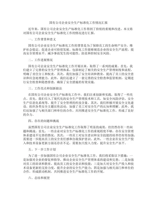 国有公司企业安全生产标准化工作情况汇报