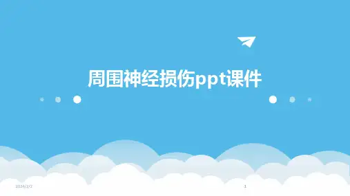 2024版年度周围神经损伤ppt课件