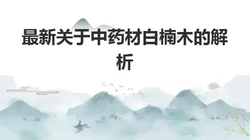 最新关于中药材白楠木的解析