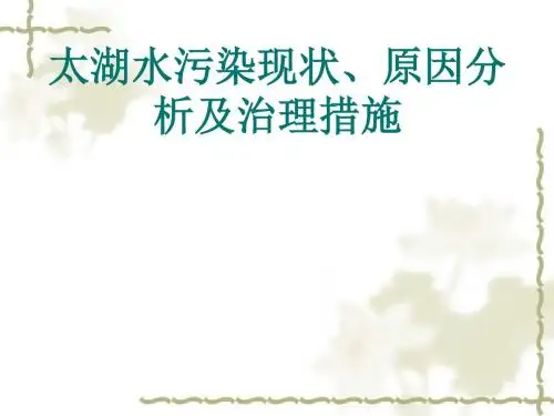 太湖水污染原因分析现状及治理