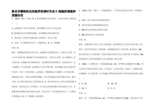 高三生物二轮复习 课时作业5 细胞的增殖和受精作用
