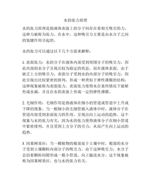 水的张力原理