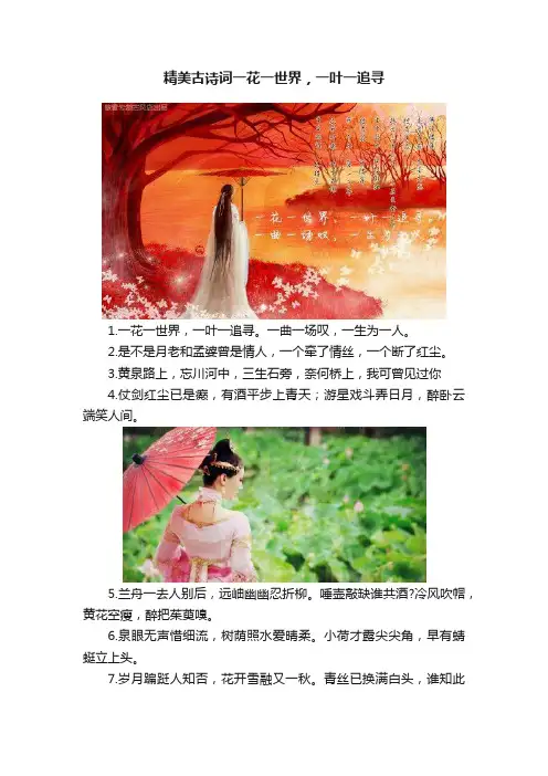 精美古诗词一花一世界，一叶一追寻