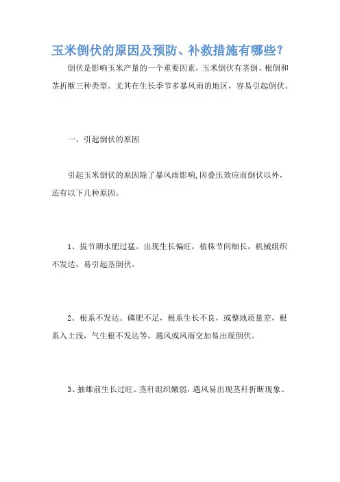 玉米倒伏的原因及预防、补救措施有哪些？
