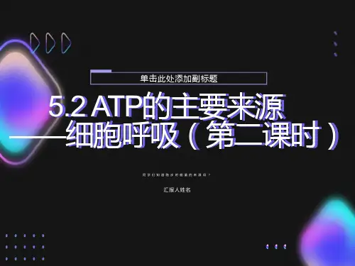 公开课细胞呼吸ppt