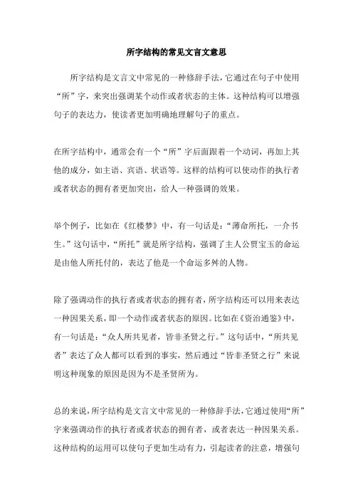 所字结构的常见文言文意思