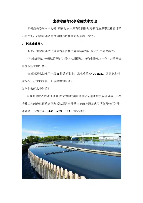 生物除磷与化学除磷技术对比