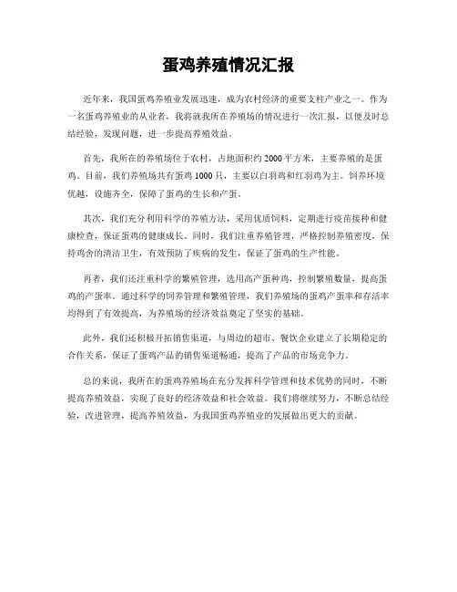 蛋鸡养殖情况汇报