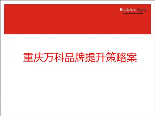 重庆某地产品牌提升策略