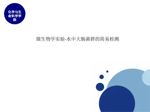 微生物学实验-水中大肠菌群的简易检测