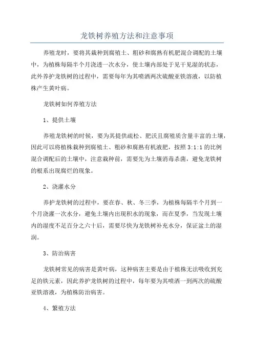 龙铁树养殖方法和注意事项