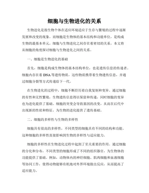 细胞与生物进化的关系