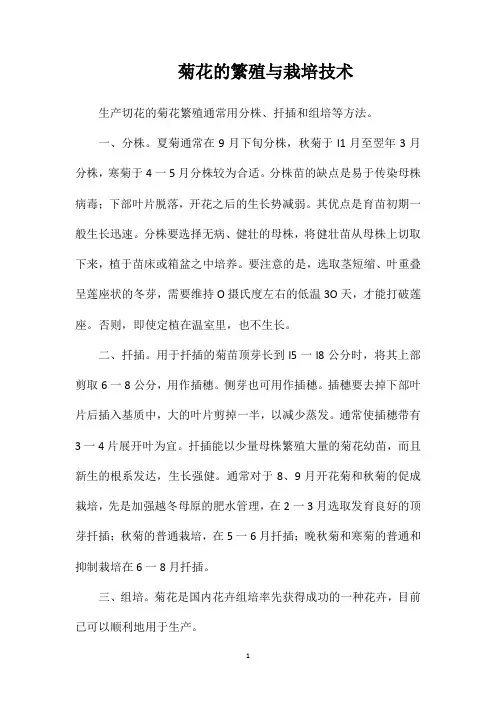 菊花的繁殖与栽培技术