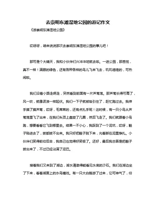 去崇明东滩湿地公园的游记作文