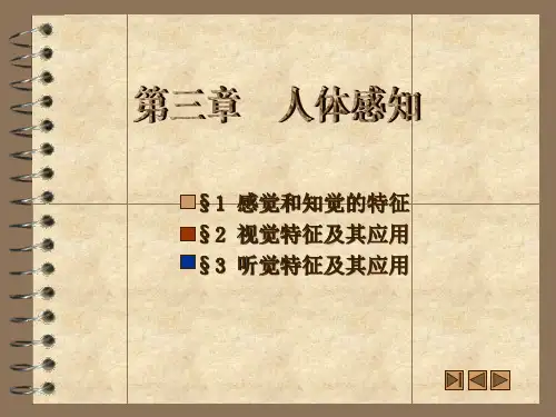 3—人体感知觉G