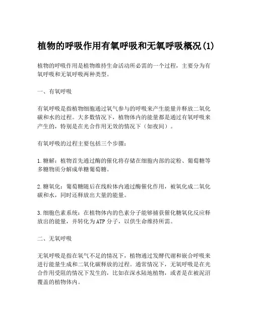 植物的呼吸作用有氧呼吸和无氧呼吸概况(1)