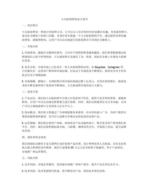 大头贴拍照创业计划书