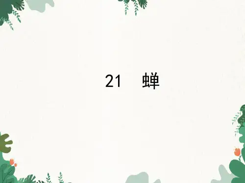 《蝉》ppt课件